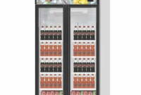 RSA Showcase Display Cooler 2 Doors Jade 860 Liter